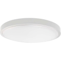LED Stropna svjetiljka za kupaonicu LED/36W/230V 6500K IP44 bijela