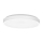 LED Stropna svjetiljka za kupaonicu LIRA LED/12W/230V 4000K pr. 25 cm IP44 bijela