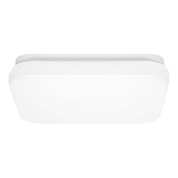 LED Stropna svjetiljka za kupaonicu LUKY LED/12W/230V 4000K 24x24 cm IP44