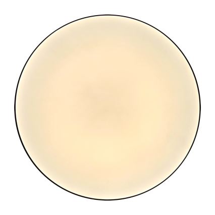 LED Stropna svjetiljka za kupaonicu MOON LED/18W/230V crna IP44
