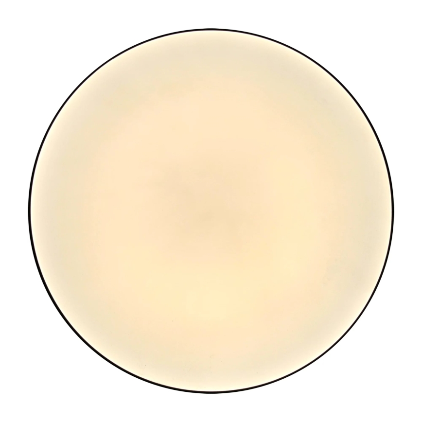 LED Stropna svjetiljka za kupaonicu MOON LED/18W/230V crna IP44