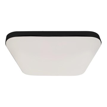 LED Stropna svjetiljka za kupaonicu NEMO LED/17W/230V IP44 crna