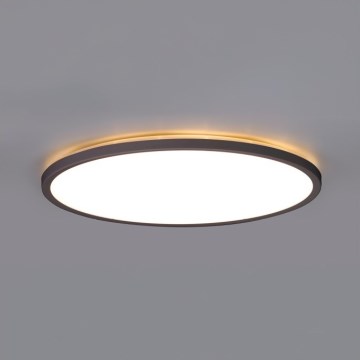 LED Stropna svjetiljka za kupaonicu NIVERA LED/12W/230V IP54 3000/4000/6000K pr. 22,5 cm crna