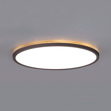 LED Stropna svjetiljka za kupaonicu NIVERA LED/18W/230V IP54 3000/4000/6000K pr. 30 cm crna