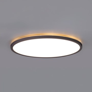 LED Stropna svjetiljka za kupaonicu NIVERA LED/24W/230V IP54 3000/4000/6000K pr. 30 cm crna