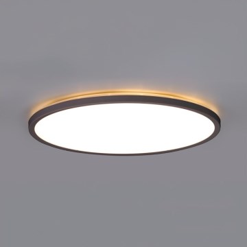 LED Stropna svjetiljka za kupaonicu NIVERA LED/32W/230V IP54 3000/4000/6000K pr. 42 cm crna