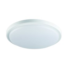 LED Stropna svjetiljka za kupaonicu ORTE LED/18W/230V IP54