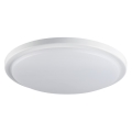 LED Stropna svjetiljka za kupaonicu ORTE LED/24W/230V IP54