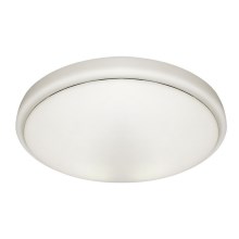 LED Stropna svjetiljka za kupaonicu PEPE LED/20W/230V IP44