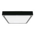 LED Stropna svjetiljka za kupaonicu sa senzorom LED/18W/230V 4000K IP44 22,5x22,5 cm crna