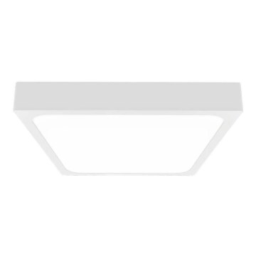 LED Stropna svjetiljka za kupaonicu sa senzorom LED/24W/230V 4000K IP44 29,5x29,5 cm bijela