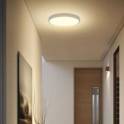LED Stropna svjetiljka za kupaonicu sa senzorom SAMSUNG CHIP LED/36W/230V IP44 4000K pr. 42 cm bijela + daljinski upravljač