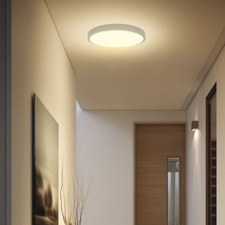 LED Stropna svjetiljka za kupaonicu sa senzorom SAMSUNG CHIP LED/36W/230V IP44 4000K pr. 42 cm bijela + daljinski upravljač