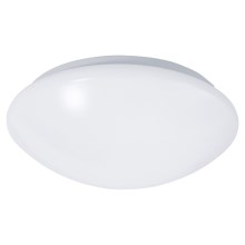 LED Stropna svjetiljka za kupaonicu sa senzorom REVA LED/12W/230V IP44