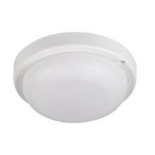 LED Stropna svjetiljka za kupaonicu TOLU LED/9W/230V 4000K IP54 bijela