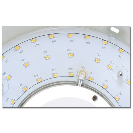 LED Stropna svjetiljka za kupaonicu VICTOR LED/25W/230V IP44