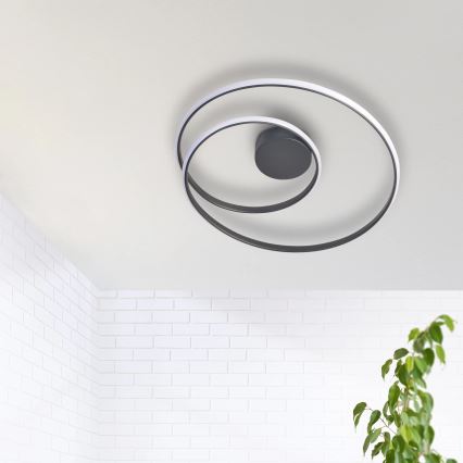 LED Stropna svjetiljka ZEFIRA LED/40W/230V 4000K pr. 50 cm antracit