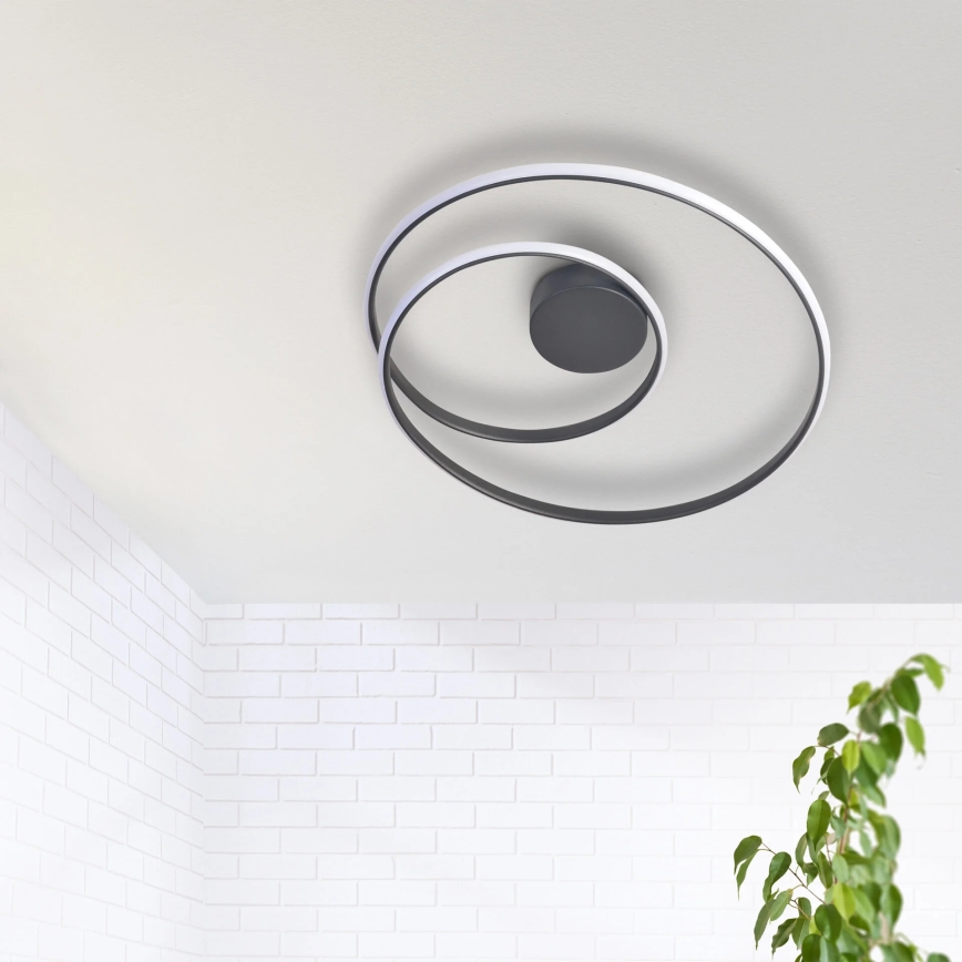 LED Stropna svjetiljka ZEFIRA LED/40W/230V 4000K pr. 50 cm antracit