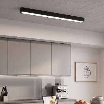 LED stropna/visilica na sajli LED/44W/230V 4000K 120 cm crna