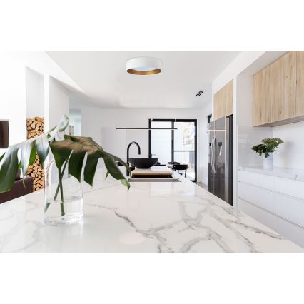 LED stropno svjetlo GALAXY LED/24W/230V Ø 44 cm bijelo/zlatno