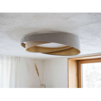 LED stropno svjetlo GALAXY MODERN LED/24W/230V Ø 55 cm siva/bež/zlatna