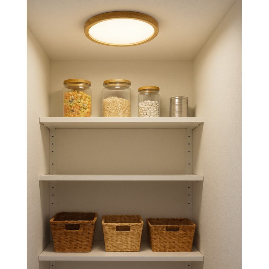 LED stropno svjetlo LED/18W/230V 3000/4000/6500K promjer 23 cm bež