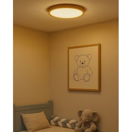 LED stropno svjetlo LED/24W/230V 3000/4000/6500K promjer 30 cm bež