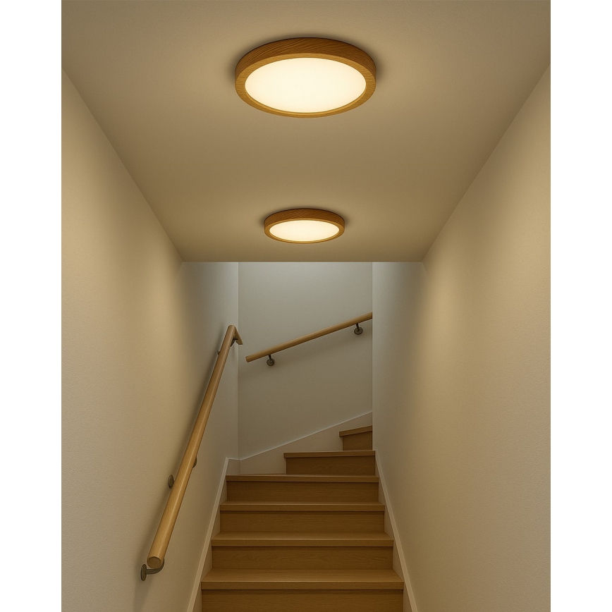 LED stropno svjetlo LED/24W/230V 3000/4000/6500K promjer 30 cm bež