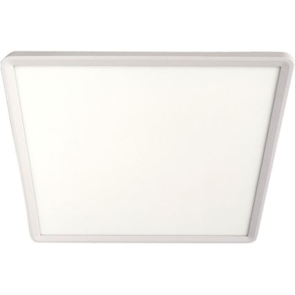 LED stropno svjetlo LED/32W/230V 3000/4000/6500K 40x40 cm bijela