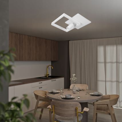 LED stropno svjetlo LED/38W/230V + 1xGU10/30W bijela