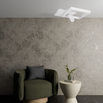 LED stropno svjetlo LED/38W/230V + 1xGU10/30W bijela