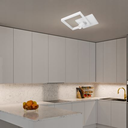 LED stropno svjetlo LED/38W/230V + 1xGU10/30W bijela