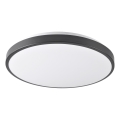LED stropno svjetlo LIBRA, 24 W/230 V, 4000 K, Ø 39 cm, crno