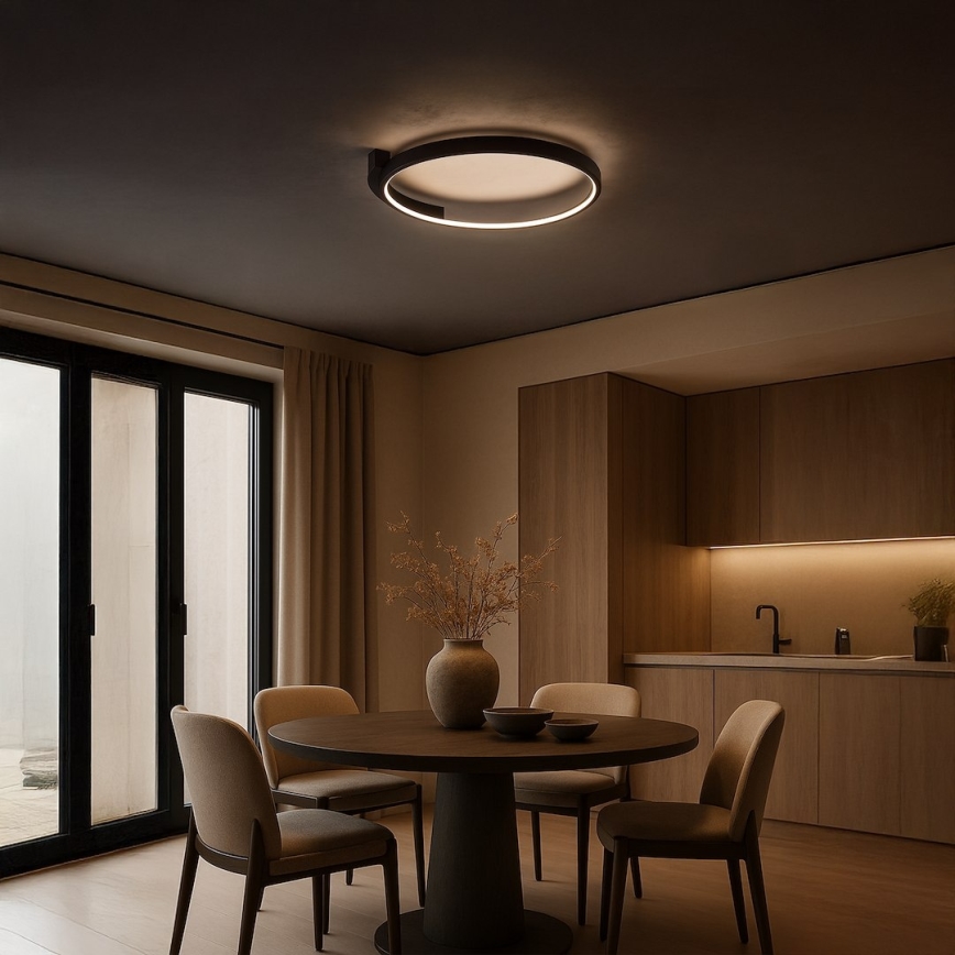 LED stropno svjetlo LUNA LED/18W/230V pr. 42,5 cm crno