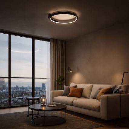 LED stropno svjetlo LUNA LED/18W/230V pr. 42,5 cm crno