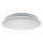 LED stropno svjetlo s detektorom pokreta LENA LED/12W/230V pr. 25,7 cm bijela