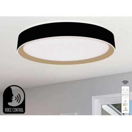 LED stropna svjetiljka s prigušivanjem i glasovnim upravljanjem OPAL LED/48W/230V 2700-6500K crna + daljinski upravljač