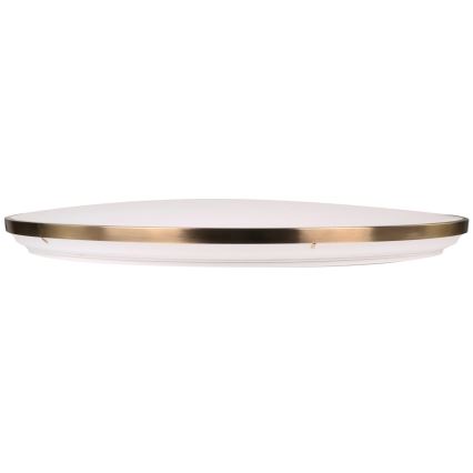 Prigušivo LED stropno svjetlo KERN LED/80W/230V 3000/4000/6000K promjer 80 cm zlatno + daljinski upravljač