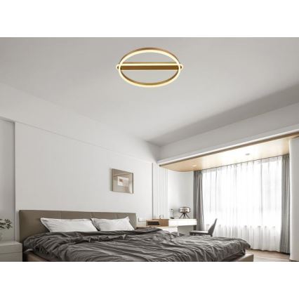 LED stropno svjetlo s prigušivanjem LED/60W/230V 3000-6500K + daljinski upravljač