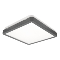 LED stropno svjetlo s senzorom pokreta i sumraka RAVA LED/38W/230V 4000K 41x41 cm antracit