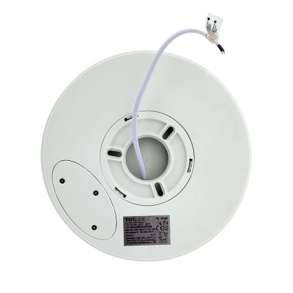 LED stropna svjetiljka sa senzorom pokreta LED/20W/230V 3000/4000/6500K Ø 230 cm IP54 siva