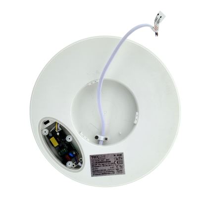 LED stropna svjetiljka sa senzorom pokreta LED/20W/230V 3000/4000/6500K Ø 230 cm IP54 siva