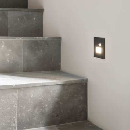 LED Stubišna svjetiljka sa senzorom pokreta LED/1,5W/230V 3000K/4000K/6500K