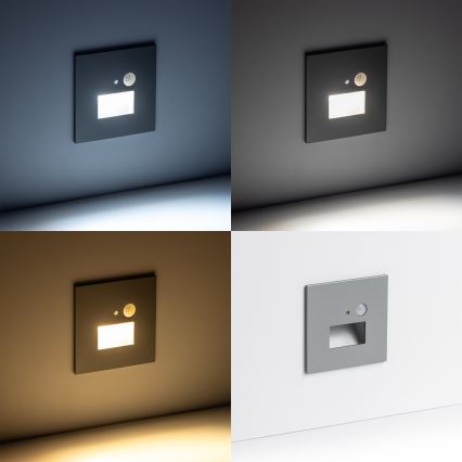 LED Stubišna svjetiljka sa senzorom pokreta LED/1,5W/230V 3000K/4000K/6500K