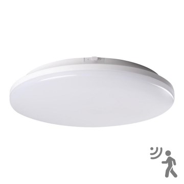 LED Svjetiljka za kupaonicu sa senzorom STIVI LED/24W/230V IP65