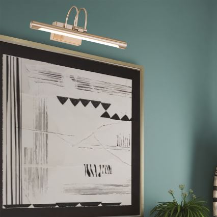 LED Svjetiljka za slike LED/9W/230V 3000K 42 cm mat krom