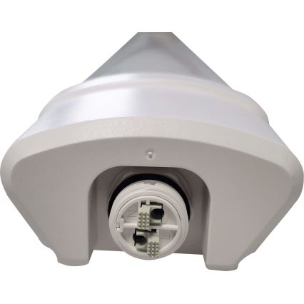 LED Svjetlosna cijev DAISY LED/80W/230V 4000K IP65