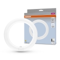 LED Svjetlosna cijev G10q/11W/230V 4000K - Osram