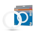 LED Svjetlosna cijev G10q/11W/230V 6500K - Osram