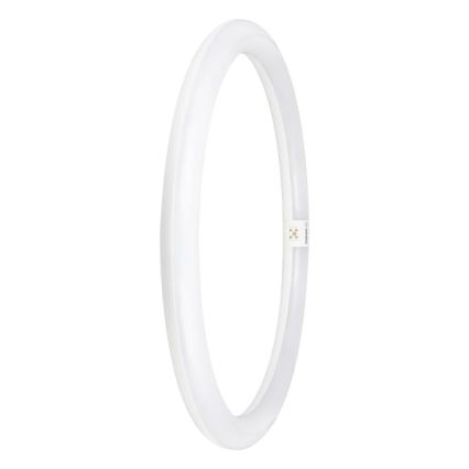 LED Svjetlosna cijev G10q/24W/230V 4000K - Osram